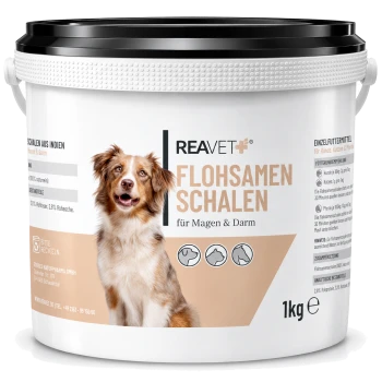 Behälter mit REAVET Flohsamen Schalen (Psylliumschalen) für Hunde, gekennzeichnet für die Verdauungsgesundheit, 1 kg, mit einem Hundebild.
