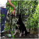 Eine Person in einem schwarzen Tanktop und blauen Jeans hält eine rote Hundeleine und bereitet sich darauf vor, einen schwarz-weißen Hund an einem ruhigen Teich, umgeben von Grün, auszuführen.