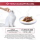 Eine flauschige weiße Katze schaut auf, während eine Hand ihren Kopf streichelt, neben einem Teller mit Fleisch. Der Text lautet "Fütterungsempfehlung" und Fütterungsrichtlinien.