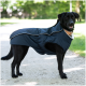 Ein schwarzer Hund trägt einen marineblauen Hundemantel und steht auf einem Kiesweg, umgeben von Grün.