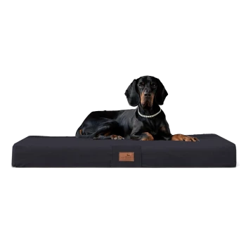 Ein schwarzer Hund ruht auf einem eleganten, dunklen Hundebett mit einem Lederschild, das mit "terradog" beschriftet ist.