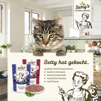 Eine getigerte Katze sitzt auf einer Küchenarbeitsplatte mit zwei Paketen von Betty's Landhausküche Katzenfutter, das deutsche Qualitätszutaten zeigt.