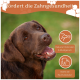 Ein lächelnder brauner Hund fördert die Zahngesundheit mit "fördert die Zahngesundheit" und Symbolen für die Reduzierung von Zahnstein und starke Kaumuskeln.