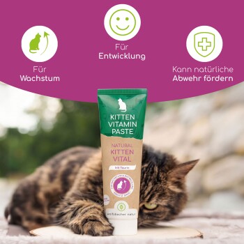 Tube 'KITTEN VITAMIN PASTE' ('NATURAL KITTEN VITAL', 'Mit Taurin') vor einer ruhenden getigerten Katze; oben ist deutscher Text zu sehen.