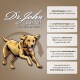 Illustration eines Hundes, der die Vorteile von Hundefutter zeigt: hypoallergene Zutaten, ätherische Öle für die Haut und grünlippige Muscheln für die Gelenke.