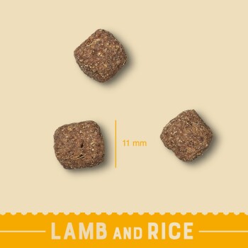 Three brown kibble pieces labeled "LAMB and RICE," each measuring 11 mm, set against a light beige background.