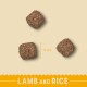 Three brown kibble pieces labeled "LAMB and RICE," each measuring 11 mm, set against a light beige background.
