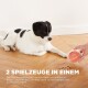 Ein schwarz-weißer Hund auf einem Holzboden schaut auf eine Hand, die einen mit Leckerlis gefüllten Ball hält. Text lautet "2 SPIELZEUGE IN EINEM."