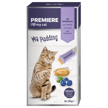 Eine verspielte getigerte Katze greift nach einem cremigen Pudding-Leckerli mit der Aufschrift "My Pudding" mit Heidelbeeren, das einen niedrigen Laktosegehalt aufweist.