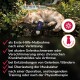 Nahaufnahme eines grauen und blauen Haustiergeschirrriemens mit schwarzen Klettverschlüssen auf weißem Hintergrund.