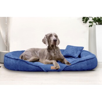 Ein grauer Weimaraner-Hund liegt auf einem plüschigen blauen Hundebett mit einem kleinen Kissen, vor einem hellen Hintergrund.