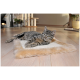 Eine entspannte graue getigerte Katze, die auf einer weichen, flauschigen Haustiermatte auf einem Holzboden liegt, mit einer gemütlichen Wohnumgebung im Hintergrund.