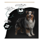 Ein glücklicher Australian Shepherd vor einem dunklen Hintergrund mit Text: "Unterstützt die Darmgesundheit," "Erhält die Mobilität," "Enthält Präbiotika."