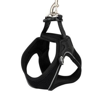 Schwarzes Mesh-Hundegeschirr mit gepolsterten Riemen und Metallclip, vor weißem Hintergrund hängend.