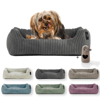 Rohrschneider ® Hundebett waschbar für kleine Hunde mit Hundekissen Cord (ca. 55×42 cm) inkl. Gassibeutel