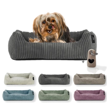 Ein gemütliches, graues Haustierbett mit einem Hund, der darin ruht, umgeben von verschiedenen Farboptionen desselben Bett-Designs, die darunter angezeigt werden.