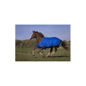 Ein braunes Pferd, das eine blaue Decke trägt, galoppiert über ein grasbewachsenes Feld unter einem klaren Himmel.