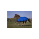 Ein braunes Pferd, das eine blaue Decke trägt, galoppiert über ein grasbewachsenes Feld unter einem klaren Himmel.