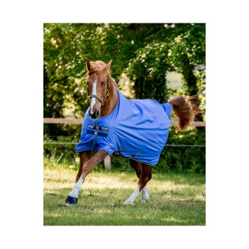 Ein kastanienbraunes Pferd, das eine leuchtend blaue Decke trägt, läuft auf einer grasbewachsenen Fläche, umgeben von Bäumen und einem Holzzaun.