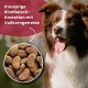 Ein Hund frisst aus einer Edelstahlschüssel; im Bild sind knusprige Rindfleisch-Kroketten zu sehen. Text: "Knusprige Rindfleisch-Kroketten mit Vollkorngetreide."