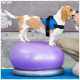 Ein Beagle steht auf einem lila FitPAWS-Balanceball, trägt ein blaues Geschirr, während eine Person ihm einen Leckerbissen anbietet.
