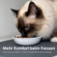 Eine Futterschüssel für Haustiere mit Trockenfutter und einer Wasserschüssel auf einem Holzboden, mit dem Text: "Pflegeleicht & spülmaschinenfest."