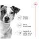 Image d'un chien avec du texte mettant en avant les avantages : "Maintien du poids," "Des os forts et sains," et "Soutien de la vitalité tout au long de la vie."