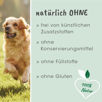 Ein Golden Retriever läuft fröhlich auf einem Grasfeld neben dem Text, der die Vorteile von natürlichem Haustierfutter hervorhebt: "keine Zusatzstoffe", "keine Füllstoffe", "glutenfrei."