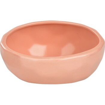 Eine glatte, runde Haustierfutterschale in sanftem Pfirsichfarbton, mit einem leicht unregelmäßigen Rand für einen modernen Look.