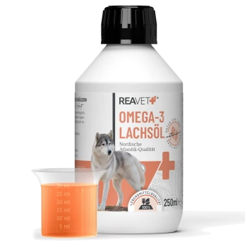 Vier Flaschen von REAVET+ Haustierergänzungsmitteln, die Omega-3-Lachsöl, reines Hanföl und andere Öle enthalten, mit einem Messbecher.