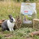 Ein grauer Hase frisst Heu aus einer weißen Schüssel, neben einem Sack PANTO Premiumhay mit Kaninchen und einem Meerschweinchen auf dem Etikett.