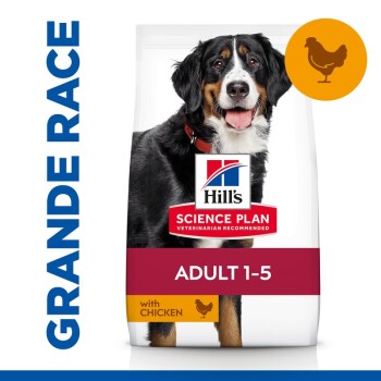 Croquettes pour chiens Hill's Science Plan pour adultes âgés de 1 à 5 ans, présentant un chien noir et marron sur l'emballage, étiqueté "avec du poulet."