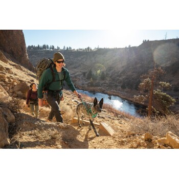 Eine Person in einer grünen Jacke und Kletterausrüstung führt einen Hund auf einem felsigen Pfad, mit einem Fluss und Bäumen im Hintergrund.