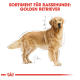Illustration eines Golden Retrievers mit Maßlinien, betitelt "SORTIMENT FÜR RASSEHUNDE: GOLDEN RETRIEVER" oben.