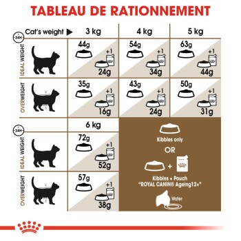 Tableau des directives d'alimentation pour les chats par poids, mettant en avant les catégories idéal et en surpoids avec des quantités de croquettes pour Royal Canin Ageing 12+.