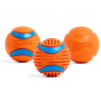 Drie oranje Chuckit! hondenballen met blauwe accenten, ontworpen voor apporteren en kauwen, op een witte achtergrond.