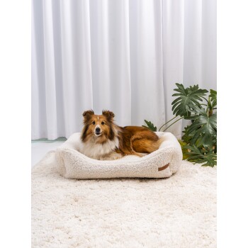 Ein flauschiges weißes Hundebett mit einem braunen Etikett steht auf einem Teppich, während ein Collie in der Nähe entspannt, umgeben von grünen Pflanzen und weißen Vorhängen.