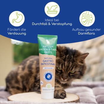 Eine Tube "Katzen Magen & Darm Paste" für Katzen, mit der Aufschrift "Natural Gastro Intestinal," mit einer Katze im Hintergrund.