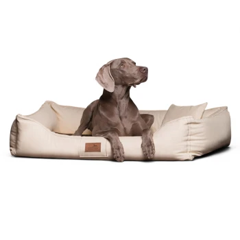 Grauer Hund liegt in einem beigen, rechteckigen Haustierbett mit einem "tierlando"-Etikett vorne.