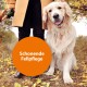 Eine Person in einem beigen Mantel steht neben einem flauschigen Golden Retriever auf einem mit Blättern bedeckten Boden, mit dem Text "Schonende Fellpflege" in einem orangefarbenen Kreis.