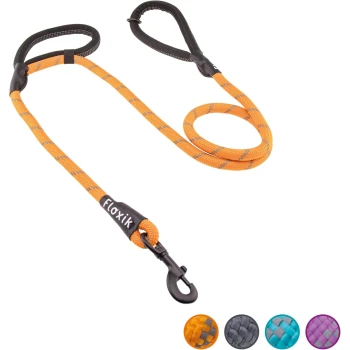 Orangefarbene Hundeleine mit reflektierenden Nähten, mit einem schwarzen Clip und Griff, sowie Farboptionen in Lila, Teal, Grau und Schwarz.