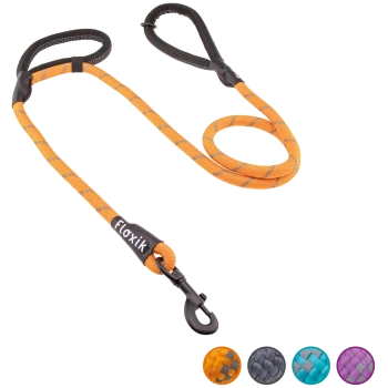 Orangefarbene Hundeleine mit reflektierenden Nähten, mit einem schwarzen Clip und Griff, sowie Farboptionen in Lila, Teal, Grau und Schwarz.