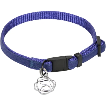 Purple pet collar with a silver charm, featuring a snap buckle and adjustable strap.