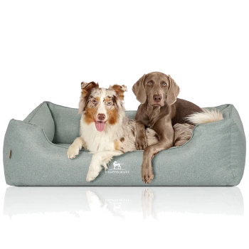 Zwei Hunde, die zusammen auf einem weichen, grauen Hundebett liegen, mit dem Logo "KNUFFELWUFF" sichtbar auf der Vorderseite.