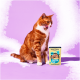 Orange-weiße Katze leckt sich die Lippen neben einem Pets Deli Classic Katzenfutterbeutel vor lila Hintergrund.