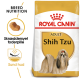 Royal Canin Hundefuttertüte für erwachsene Shih Tzus, mit goldenem Hintergrund, einer Illustration eines Shih Tzus und Text, der die Rassenernährung hervorhebt.