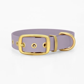Ein lavendelfarbenes Haustierhalsband mit einer goldenen Schnalle und metallischen Ösen, vor einem weißen Hintergrund präsentiert.