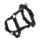Black pet harness with adjustable straps and metal D-rings for leash attachment, designed for comfort and control.