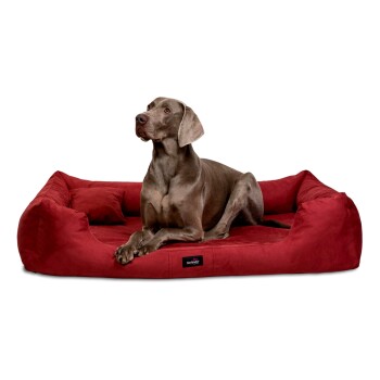 MORITZ VIP Hundebett Hundesofa dunkelrot 1,6 m, 25 cm, 1,1 m