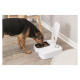 Ein Hund, der aus einem modernen weißen Futterspender für Haustiere frisst, dessen Deckel offen ist, auf einem Holzboden platziert.